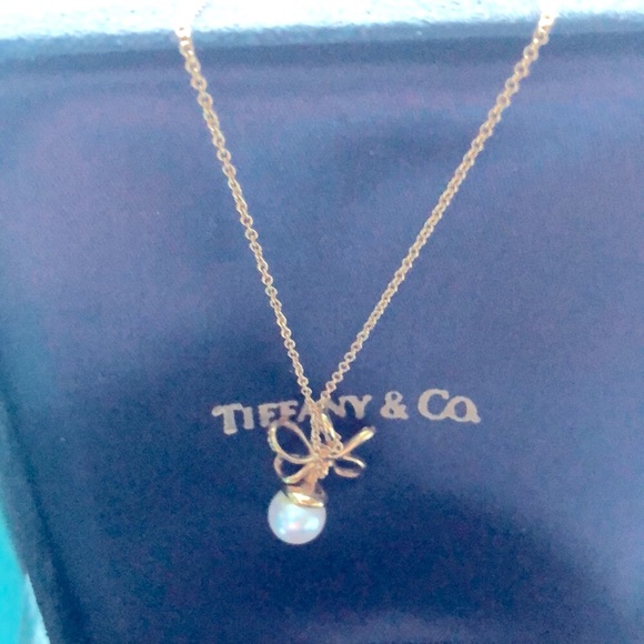 Tiffany Necklace Designed by Paloma Picasso - Picture 6 of 8